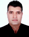 حامد